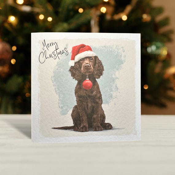 Brown Cocker Spaniel Christmas Card