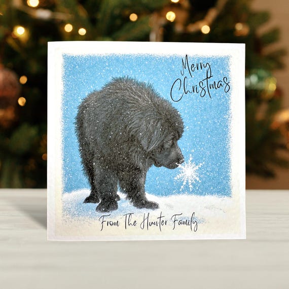 Black Newfoundland Dog Christmas Card. Soft painting style.