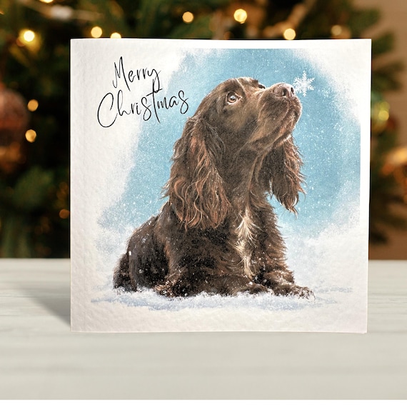 Brown Cocker Spaniel Christmas Card