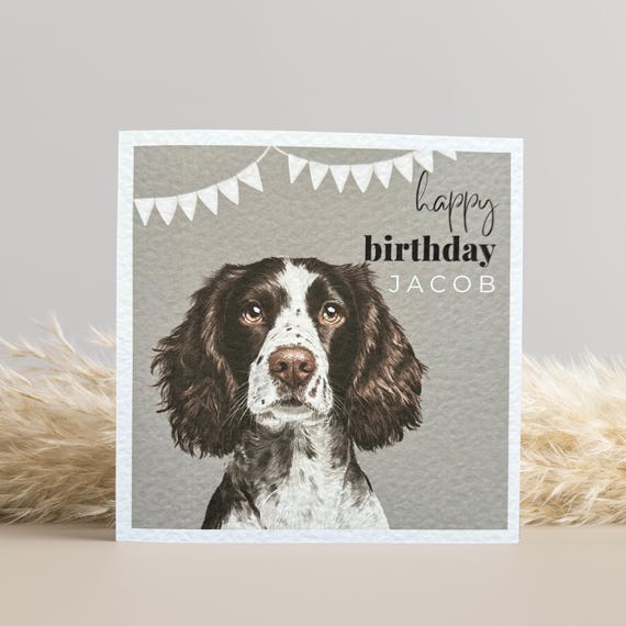 Cocker Spaniel Birthday Card