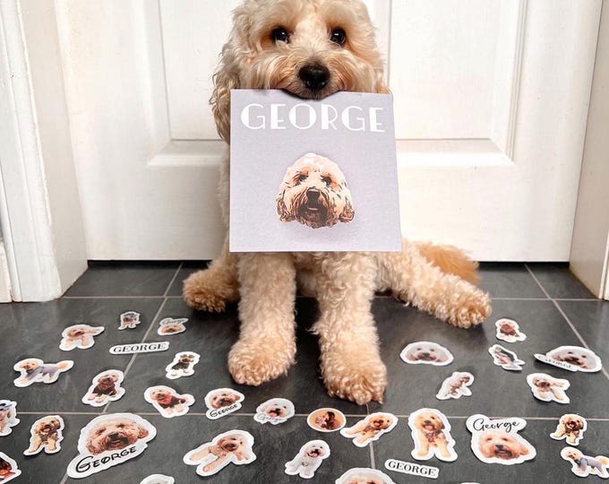 25 x Custom Pet Stickers | Personalised Vinyl Stickers | Weatherproof and Durable | Pet Photo Stickers
