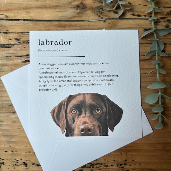Chocolate Labrador Birthday Card