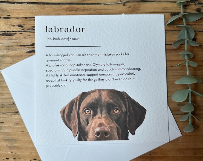 Chocolate Labrador Birthday Card