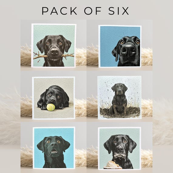 Black Labrador Cards: Multi Pack of 6