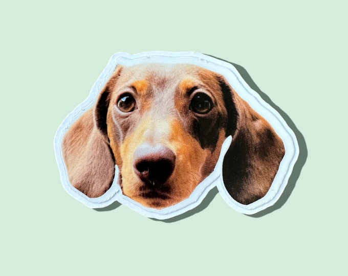 Pet Stickers, Dog Stickers, Cat Stickers, Custom Pet Head Stickers, Personalised Stickers, Weatherproof and Durable, Pet Photo Stickers