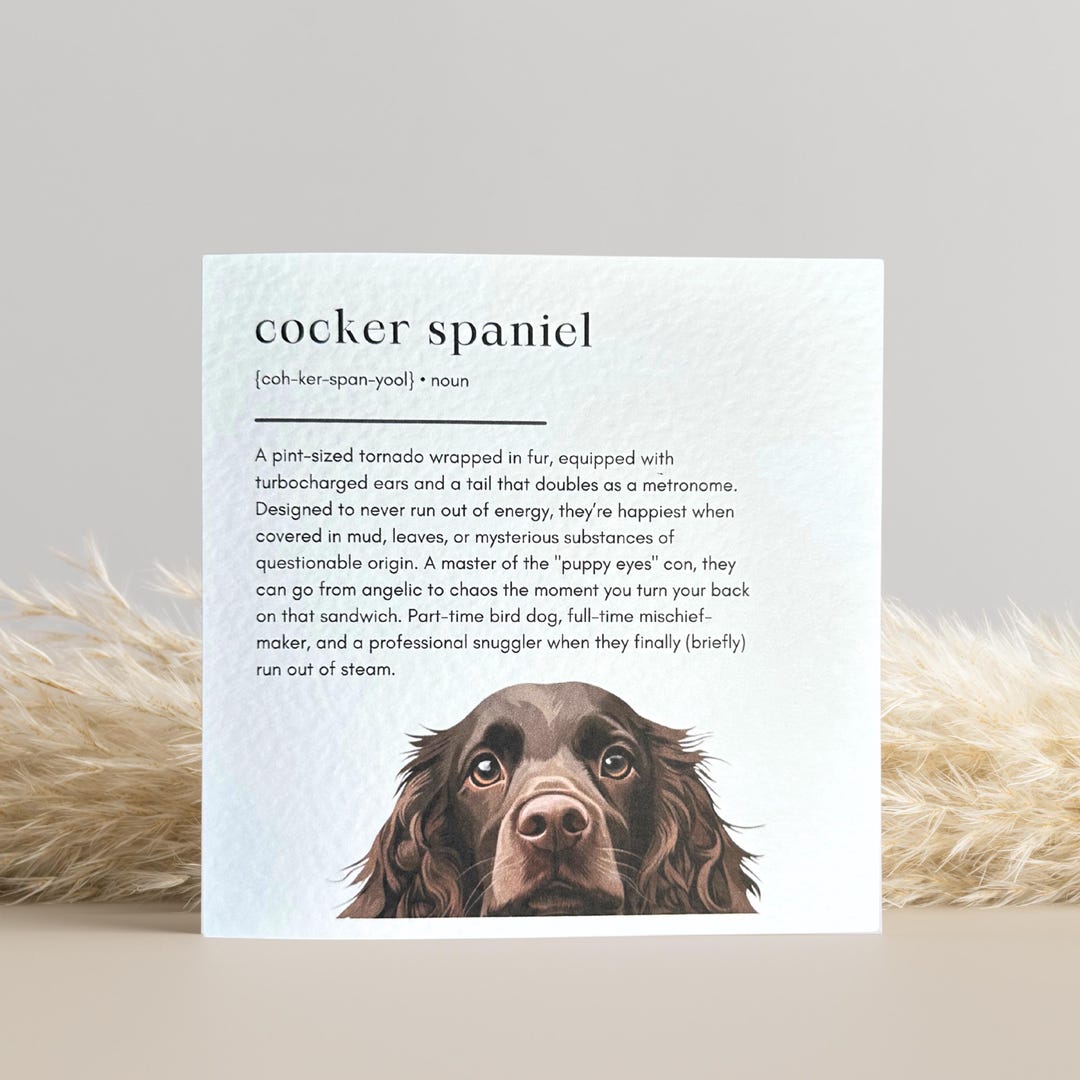Chocolate Cocker Spaniel Definition Birthday Card - Etsy UK