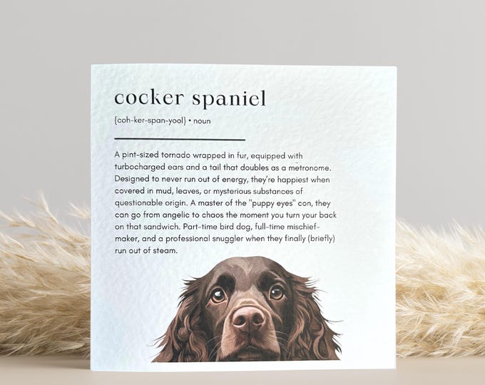 Brown Cocker Spaniel Card