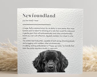 Black Newfoundland Birthday Card