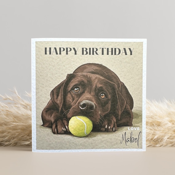 Personalised Chocolate Labrador Birthday Card