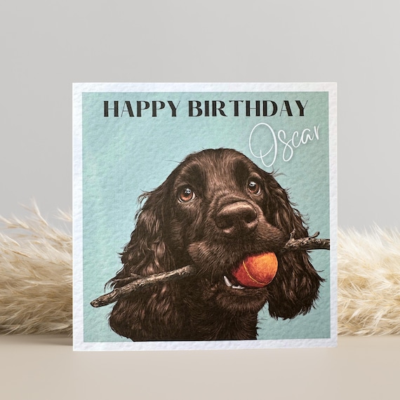 Chocolate Brown Cocker Spaniel Birthday Card