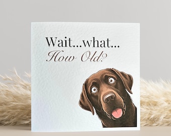 Chocolate Labrador Birthday Card