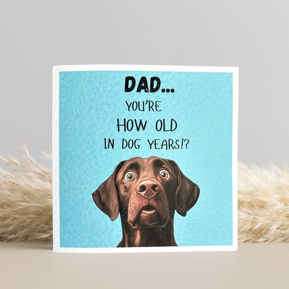 Chocolate Labrador Birthday Card