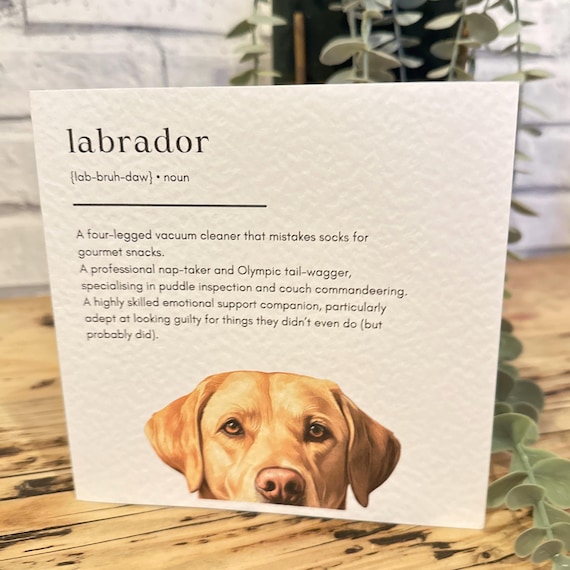 Yellow Labrador Birthday Card: Funny Dog Definition, Personalized Option