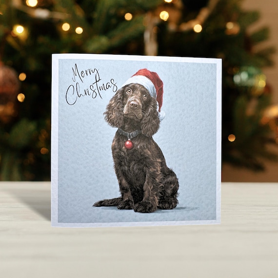 Brown Cocker Spaniel Christmas Card