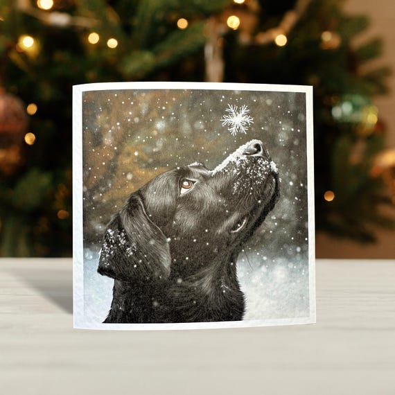 Black Labrador Christmas Card: Dog Lover Christmas Holiday