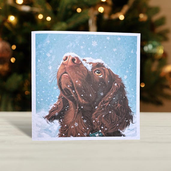 Brown Cocker Spaniel Christmas Card