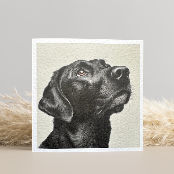 Black Labrador Birthday Card