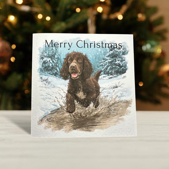 Brown Cocker Spaniel Christmas Card