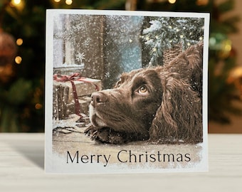 Brown Cocker Spaniel Christmas Card