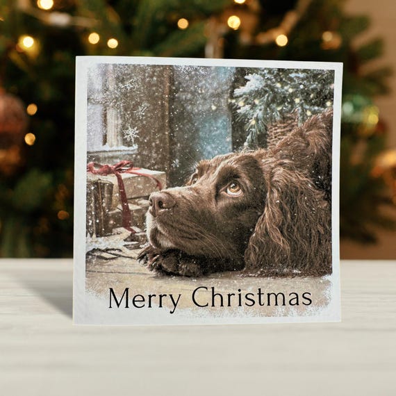 Brown Cocker Spaniel Christmas Card