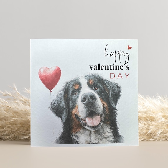 Bernese Mountain Dog Valentine's Day Card: Dog Lover Gift