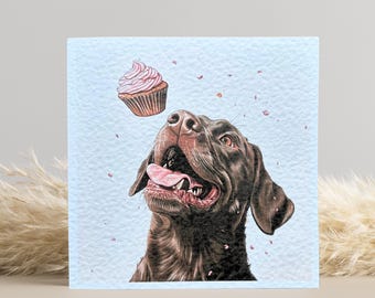 Chocolate Labrador Birthday Card