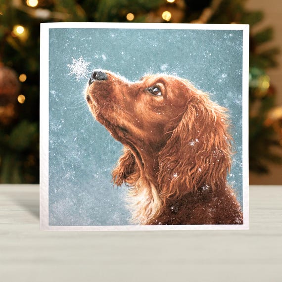 Red Cocker Spaniel Christmas Card