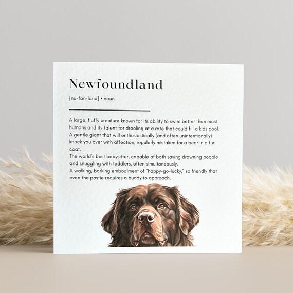 Brown Newfoundland Birthday Card