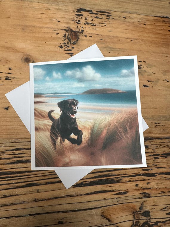 Black Labrador Birthday Card