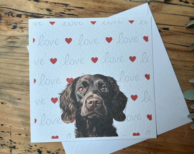 Chocolate Cocker Spaniel Valentine Card, Brown Cocker Card, brown Spaniel. Dog Mum, Dog Dad. Dog Mom, Dog Valentines, working cocker spaniel
