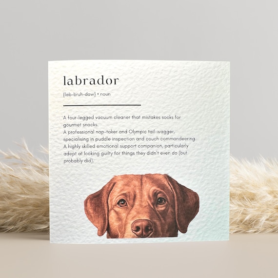 Fox red Labrador Birthday Card
