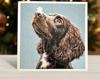 Brown Cocker Spaniel Christmas Card