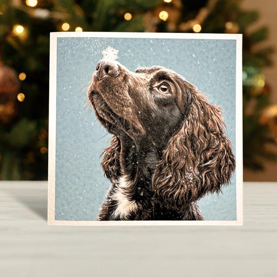 Brown Cocker Spaniel Christmas Card
