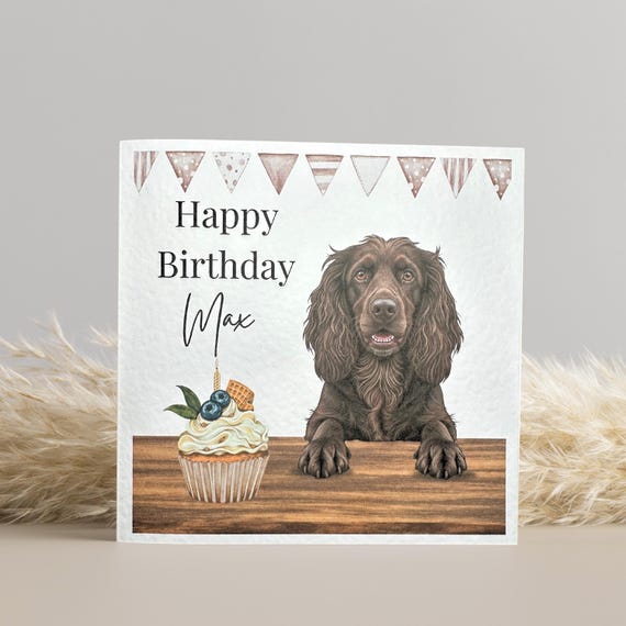 Brown Cocker Spaniel Birthday Card