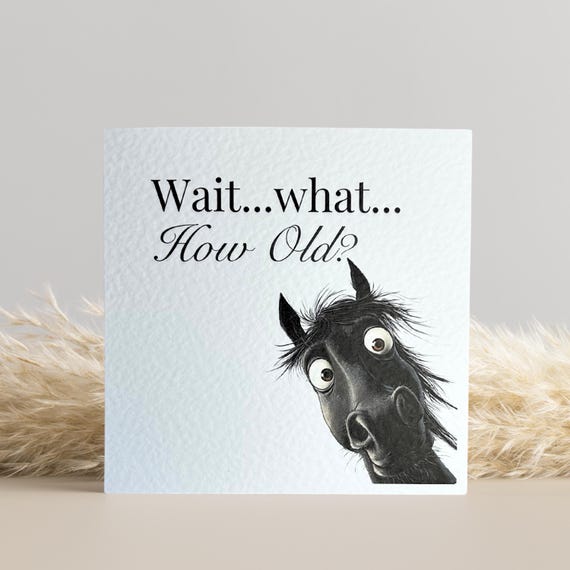 Black Horse Birthday Card