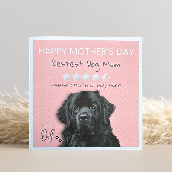 Personalised Newfoundland Dog Mothers Day Card