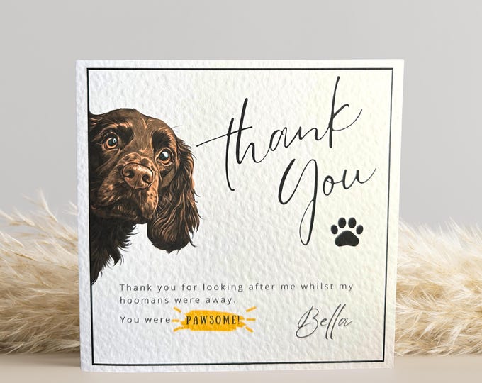 Brown Cocker Spaniel Thank you Card