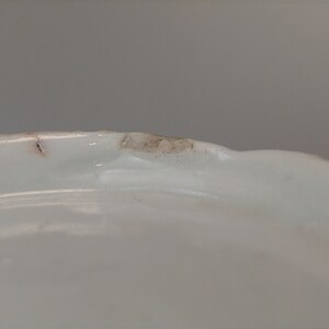 May include: Close-up of the rim of a white ceramic plate with a small brown stain.