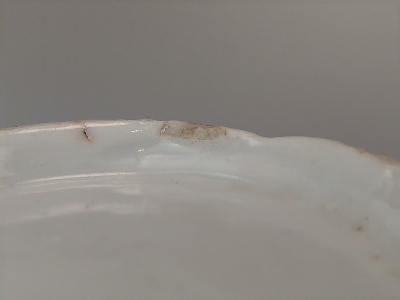 May include: Close-up of the rim of a white ceramic plate with a small brown stain.
