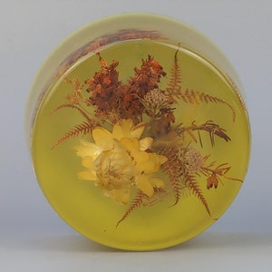 Vintage Lucite Floral S.E.A Handwerk Schottland Briefbeschwerer
