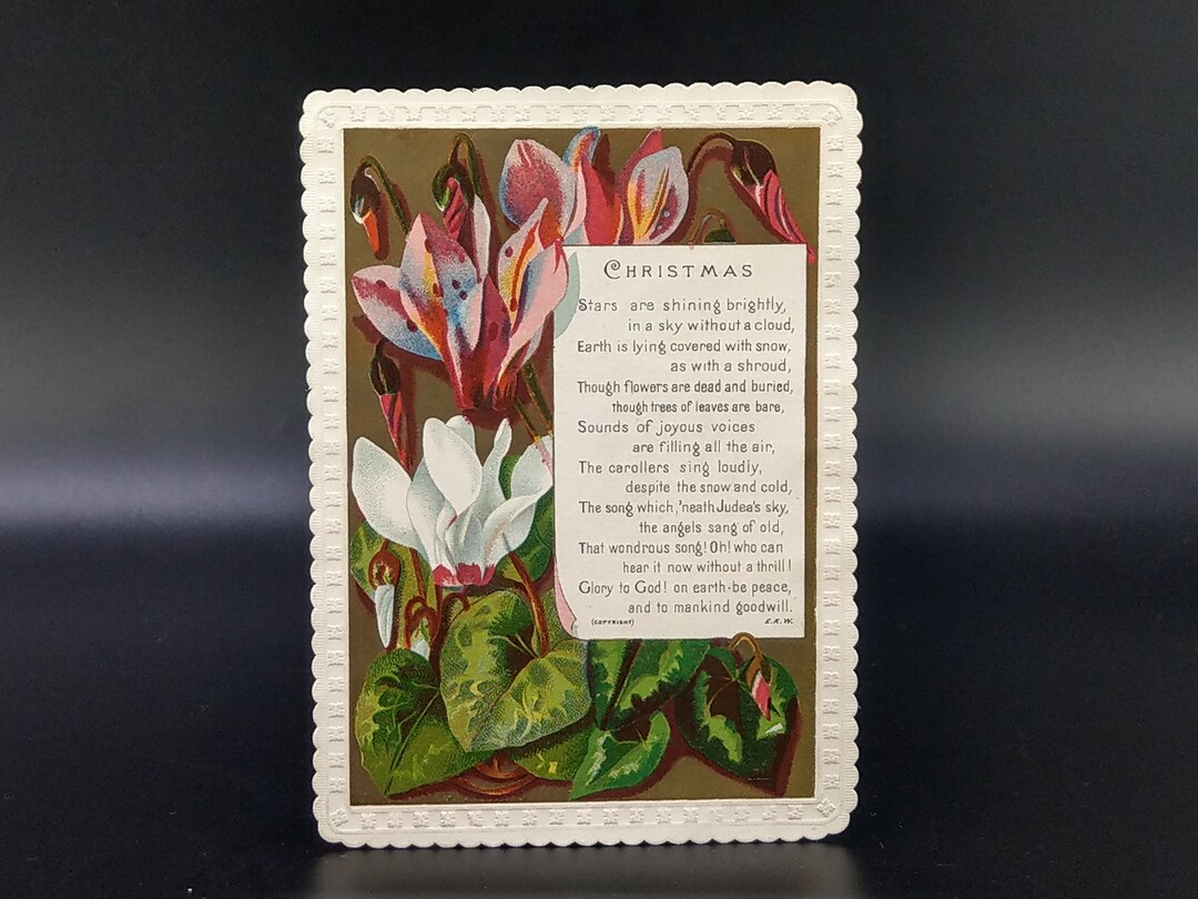 Antique Greetings Card Cyclamen by Marcus Ward Victorian Etsy