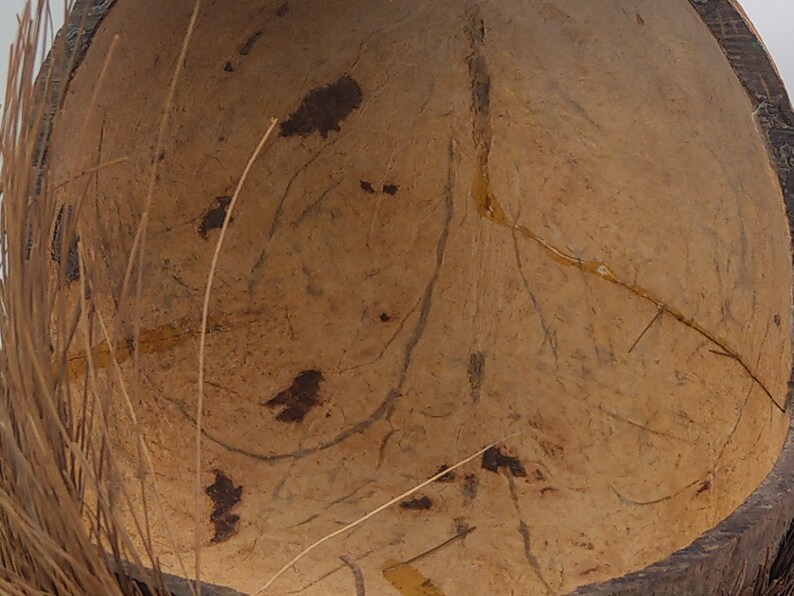 Carved Coconut Shell Creepy Face Art From Oceania Polynesia C1960 - Etsy
