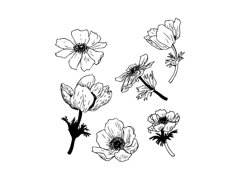 Svg files for cricut poppy svg poppies svg svg bundle | Etsy