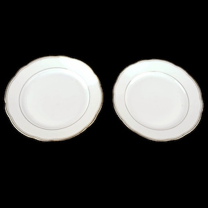 Vintage Porcelain Plates Set, Czechoslovakian Porcelain Plates