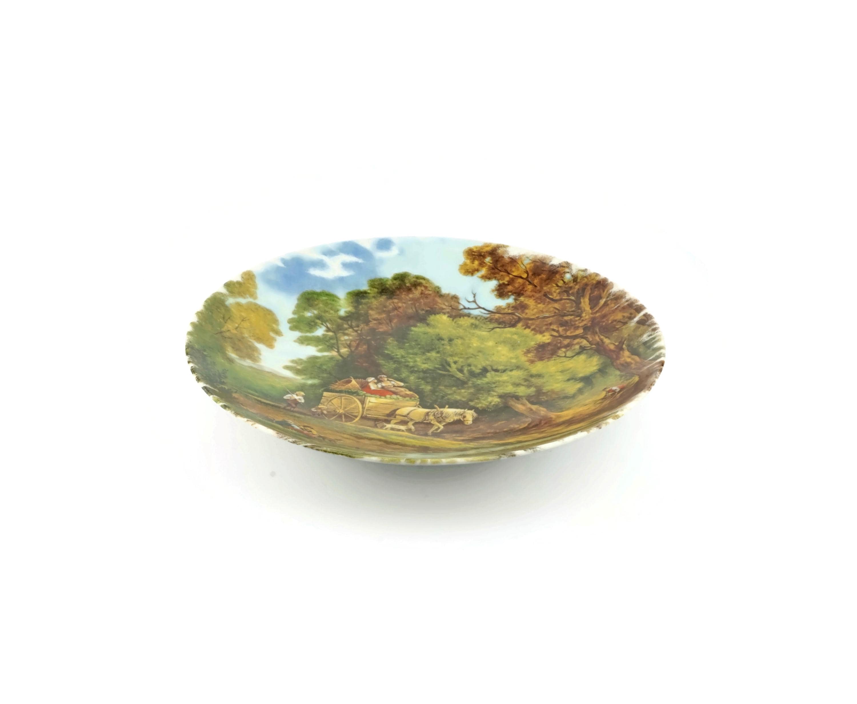 Vintage Royal Schwabap Plate, Holland Hand Painted Ceramic Plate