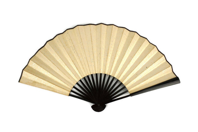 Vintage Chinese Hand Fan image 3