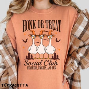 Honk or Treat Halloween Goose Comfort Colors Shirt, Cute Goose Graphic Tee, Trendy Fall T-shirt, Casual Wear for Halloween Costume For Her