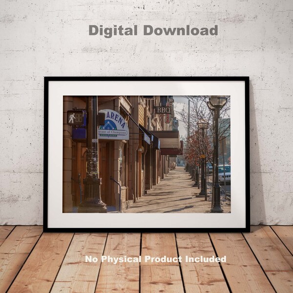 Digital Download - The Arena on Washington Street Ann Arbor Printable Art