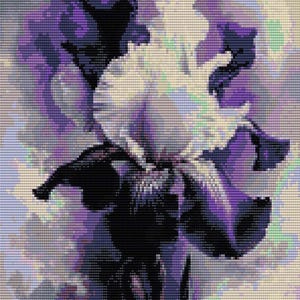 Può includere: Un primo piano di un fiore di iris viola e bianco con uno stelo e foglie di colore viola scuro. Il fiore è a fuoco, mentre lo sfondo è sfocato.