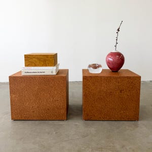 May include: Two square, burl wood side tables. One table holds a wooden box and two books, including one titled "Picasso". The other table displays a red vase with a sprig and a small glass bowl. The tables have a warm, reddish-brown color.